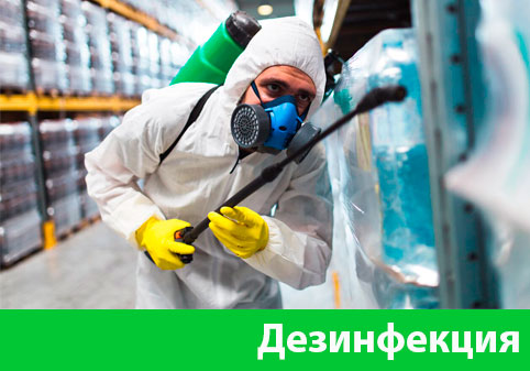 Дезинфекция в городе Солнечногорск