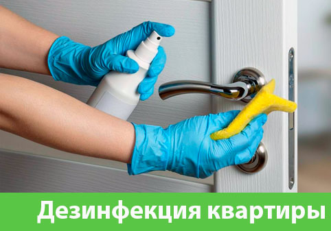 Дезинфекция квартиры в городе Солнечногорск