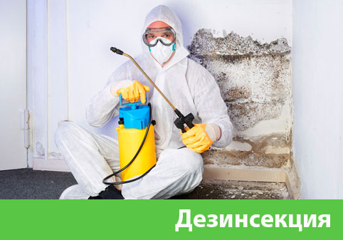 Дезинсекция в городе Солнечногорск