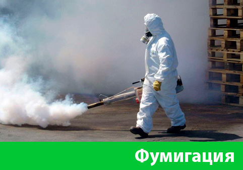 Фумигация в городе Солнечногорск