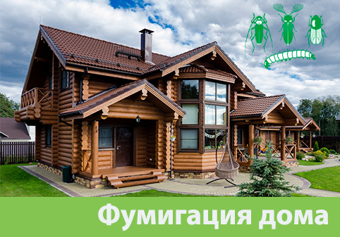 Преимущества обработки газом в городе Солнечногорск