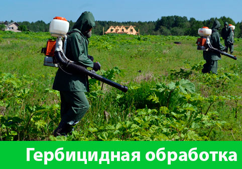 Гербицидная обработка в городе Солнечногорск