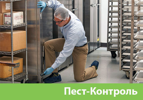 Пэст-Контроль в городе Солнечногорск