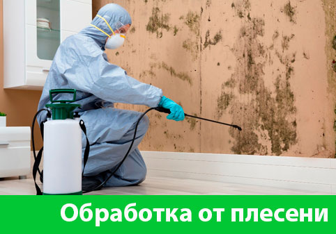 Обработка от плесени в городе Солнечногорск