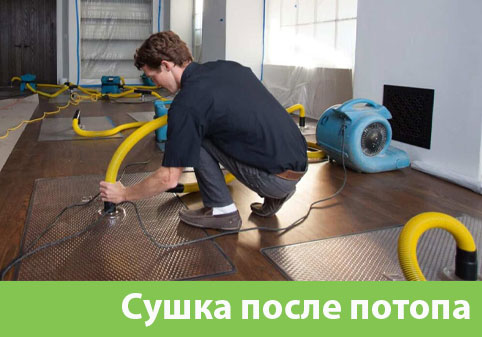 Сушка после потопа в городе Солнечногорск