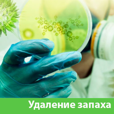 Удаление запахов в Солнечногорске