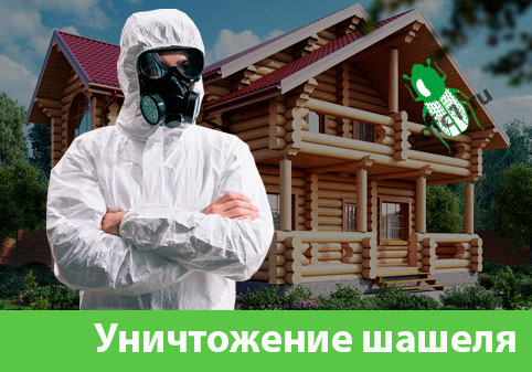 Уничтожение шашеля и личинок в Солнечногорске