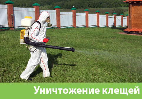 Уничтожение клещей в городе Солнечногорск