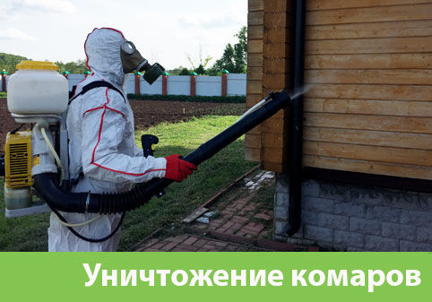 Уничтожение комаров в городе Солнечногорск