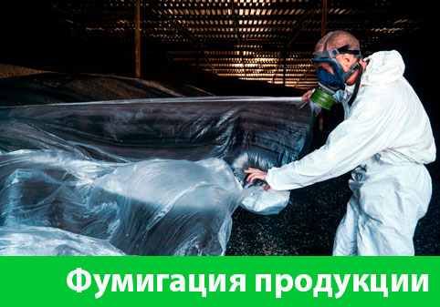 Фумигация продукции в городе Солнечногорск
